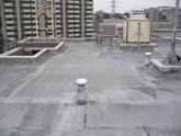 こんな症状がでていませんか?―その他―